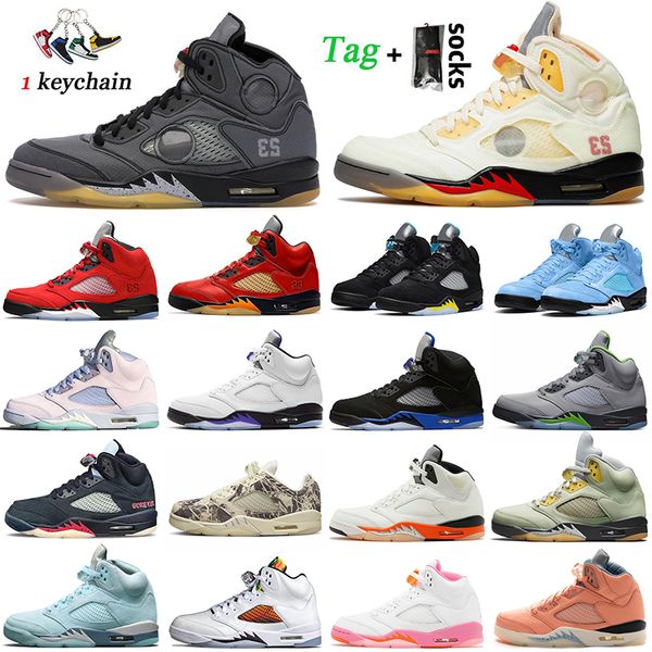 2022 women mens jumpman 5 5s basketball shoes black muslin sail aqua unc racer blue burgundy gore-tex offs dj khaled x we the trainers spor
2022 women mens jumpman 5 5s basketball shoes black muslin sail aqua unc racer blue burgundy gore-tex offs dj khaled x we the trainers spor