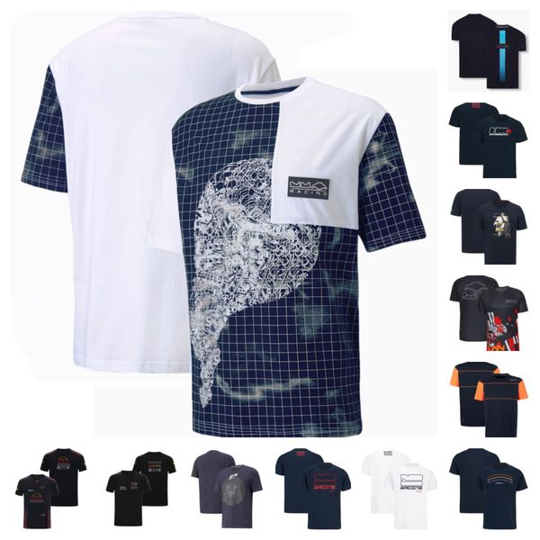 f12022 selling f1 racing suit team commemorative edition plus size sportswear formula 1 racing suit customization
f12022 selling f1 racing suit team commemorative edition plus size sportswear formula 1 racing suit customization