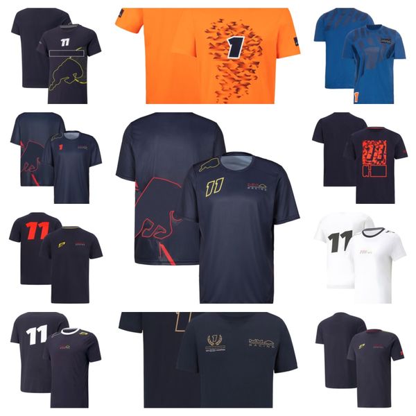 2022 summer new f1 formula one racing suit clothes team work clothes short-sleeved t-shirt men's custom
2022 summer new f1 formula one racing suit clothes team work clothes short-sleeved t-shirt men's custom