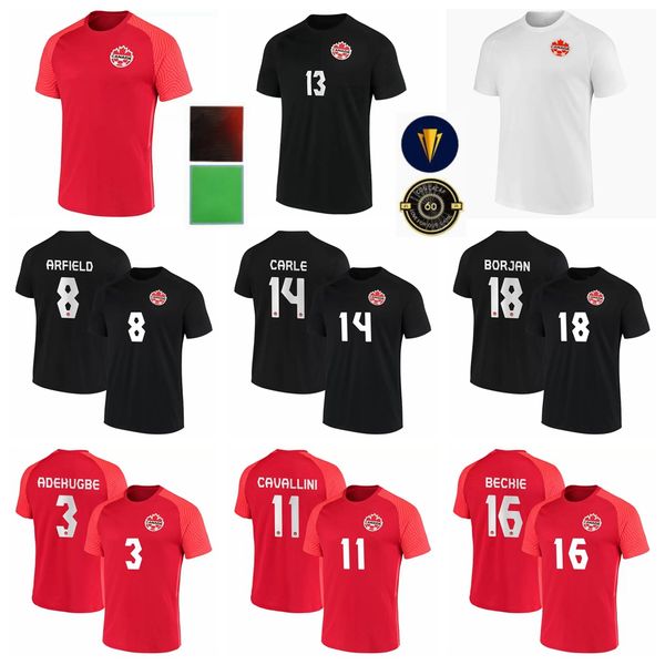 2022 qatar world cup 13 hutchinson soccer jersey canada 17 larin 19 davies 20 david 9 cavallini 14 kaye 10 hoilett 11 buchanan football shir, Black;yellow
2022 qatar world cup 13 hutchinson soccer jersey canada 17 larin 19 davies 20 david 9 cavallini 14 kaye 10 hoilett 11 buchanan football shir, Black;yellow