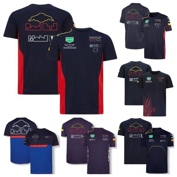 f1 racing suit t-shirt formula 1 team t-shirts quick dry short-sleeved summer men women round neck tee car fans jersey custom, Gray
f1 racing suit t-shirt formula 1 team t-shirts quick dry short-sleeved summer men women round neck tee car fans jersey custom, Gray