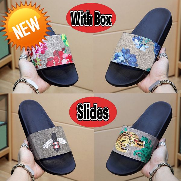slippers new designer slides men women slippers shoes with box dust bag snake print slide
slippers new designer slides men women slippers shoes with box dust bag snake print slide