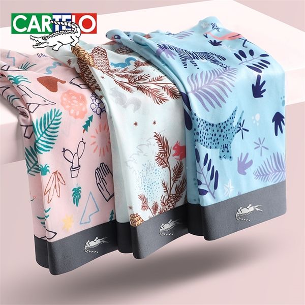 underpants cartelo men's antibacterial underwear men print boxers male panties mens underpants breathbale summer shorts l3xl 3pcs 22092, Black;white
underpants cartelo men's antibacterial underwear men print boxers male panties mens underpants breathbale summer shorts l3xl 3pcs 22092, Black;white