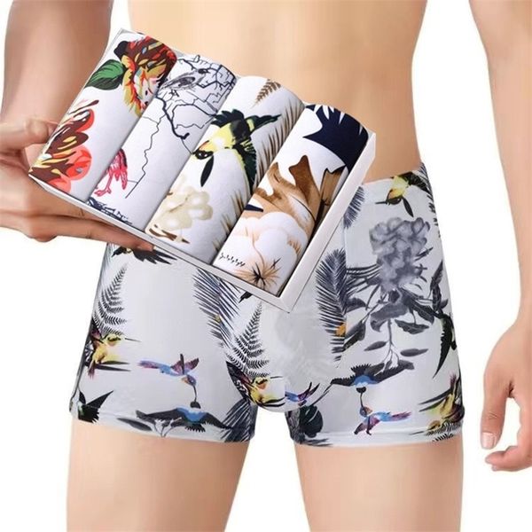 underpants 4pcslot cotton male panties men's underwear boxers breathable man boxer solid underpants comfortable shorts lingerie l4xl 22, Black;white
underpants 4pcslot cotton male panties men's underwear boxers breathable man boxer solid underpants comfortable shorts lingerie l4xl 22, Black;white