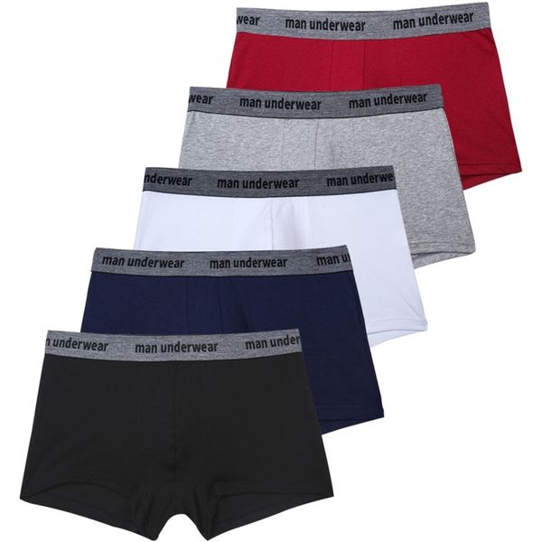 underpants 5pcsset boxers for men boxer shorts pure cotton men's panties solid underpants man intimate mens underwear for men gift 2209, Black;white
underpants 5pcsset boxers for men boxer shorts pure cotton men's panties solid underpants man intimate mens underwear for men gift 2209, Black;white