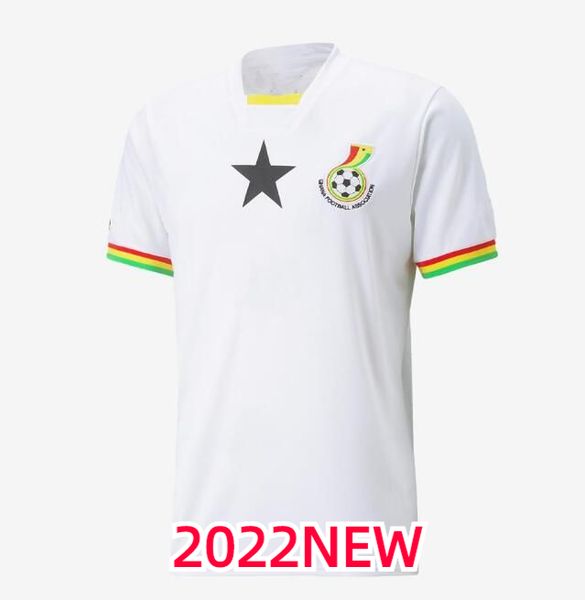 22 23 ghana soccer jersey world cup thomas national team schlupp j.ayew kudus home away football shirt 2022 2023 short sleeve men kids white, Black
22 23 ghana soccer jersey world cup thomas national team schlupp j.ayew kudus home away football shirt 2022 2023 short sleeve men kids white, Black