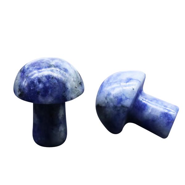 20mm mushroom shaped gemstone statue figurine carved sodalite stone mushrooms crafts for healing chakra reiki balancing home decoration, Black
20mm mushroom shaped gemstone statue figurine carved sodalite stone mushrooms crafts for healing chakra reiki balancing home decoration, Black