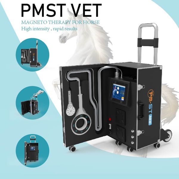 equine physio magneto magnetic therapy emtt pemf for horses accelerates healing and quick recovery from injuries
equine physio magneto magnetic therapy emtt pemf for horses accelerates healing and quick recovery from injuries