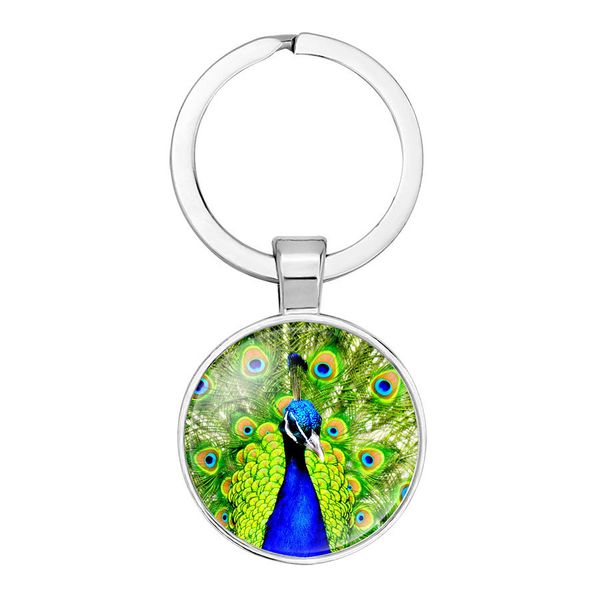 car bag keychain small jewelry pendant green peacock feather screen time gem key ring gift, Silver
car bag keychain small jewelry pendant green peacock feather screen time gem key ring gift, Silver