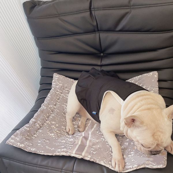 designer dog beds classic letters pattern pet kennels pets mat for small medium dogs breathable soft padding machine washable 2 color wholes
designer dog beds classic letters pattern pet kennels pets mat for small medium dogs breathable soft padding machine washable 2 color wholes