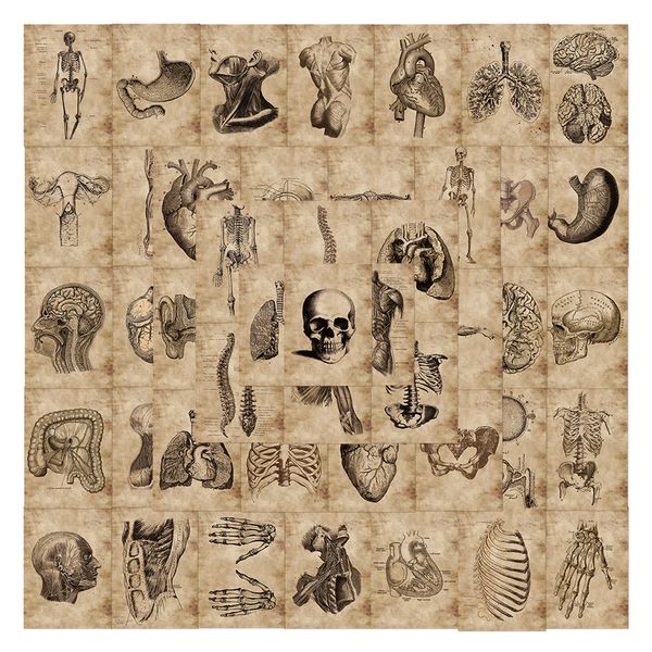 55pcs/pack mixed car stickers body skeleton for skateboard lapdecor pad bicycle motorcycle helmet ps4 phone diy decals pvc guitar sticker
55pcs/pack mixed car stickers body skeleton for skateboard lapdecor pad bicycle motorcycle helmet ps4 phone diy decals pvc guitar sticker