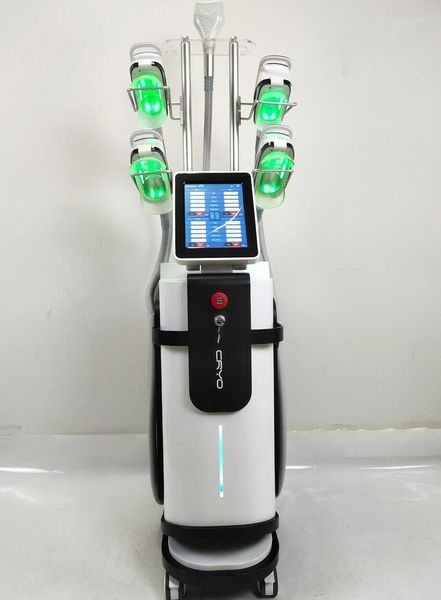 slimming cryo and double chin multifunctional fat e machine body contouring machineslimming lose weight 360 cryomachine for fat reduce
slimming cryo and double chin multifunctional fat e machine body contouring machineslimming lose weight 360 cryomachine for fat reduce