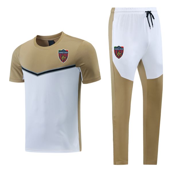 2022 2023 cosenza soccer short sleeve running sets sweatshirt tracksuit set mens sports training suits sportswear suit men football jerseys, Black;blue
2022 2023 cosenza soccer short sleeve running sets sweatshirt tracksuit set mens sports training suits sportswear suit men football jerseys, Black;blue
