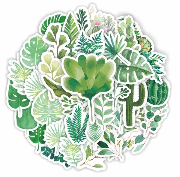 60pcs palm leaf wall stickers skate accessories waterproof vinyl sticker for skateboard luggage lapwater bottle phone case guitar helmet kid
60pcs palm leaf wall stickers skate accessories waterproof vinyl sticker for skateboard luggage lapwater bottle phone case guitar helmet kid