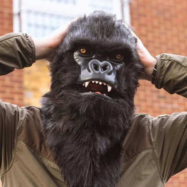 orangutan headgear animal mask cos mask mascot costume p party activity equipment monkey, Red;yellow
orangutan headgear animal mask cos mask mascot costume p party activity equipment monkey, Red;yellow