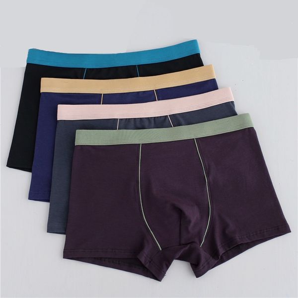 mens plus size underpants boxers briefs solid color cotton breathable underwear trunks 5xl 6xl 7xl 8xl, Black;white
mens plus size underpants boxers briefs solid color cotton breathable underwear trunks 5xl 6xl 7xl 8xl, Black;white