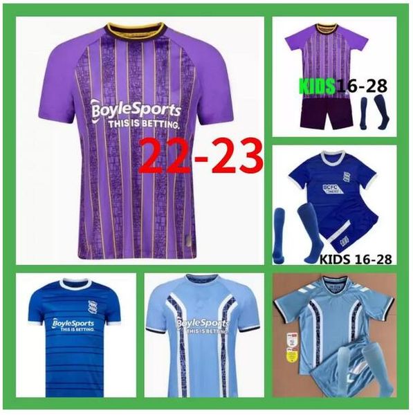 22 23 coventry city soccer jersey thailand 2022 2023 home blue 10 o hare sheaf 17 gyokeres 24 godden 38 hamer men kids kit football shirts c, Black;yellow
22 23 coventry city soccer jersey thailand 2022 2023 home blue 10 o hare sheaf 17 gyokeres 24 godden 38 hamer men kids kit football shirts c, Black;yellow
