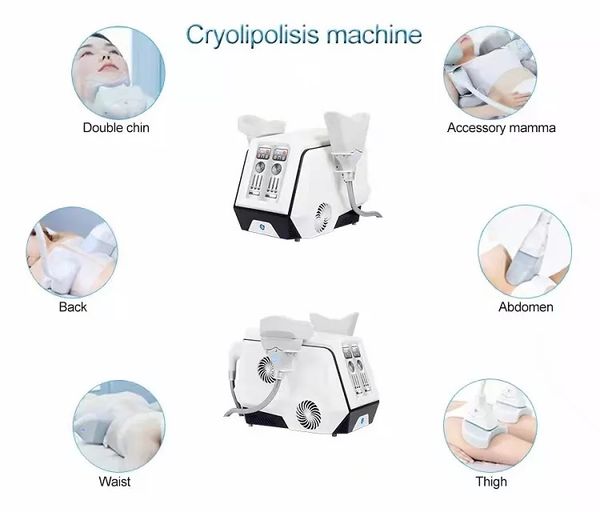 360 cryolipolysis slimming machine cryo cryotherapy fat e body sculpting equipment
360 cryolipolysis slimming machine cryo cryotherapy fat e body sculpting equipment
