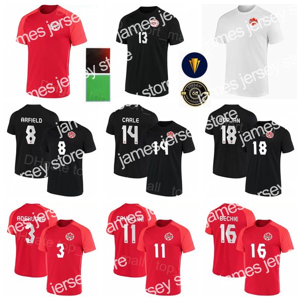 24 national team canada soccer jersey 13 hutchinson 17 larin 19 davies 20 david 9 cavallini 14 kaye 10 hoilett 11 buchanan football shirt ki, Black;yellow
24 national team canada soccer jersey 13 hutchinson 17 larin 19 davies 20 david 9 cavallini 14 kaye 10 hoilett 11 buchanan football shirt ki, Black;yellow