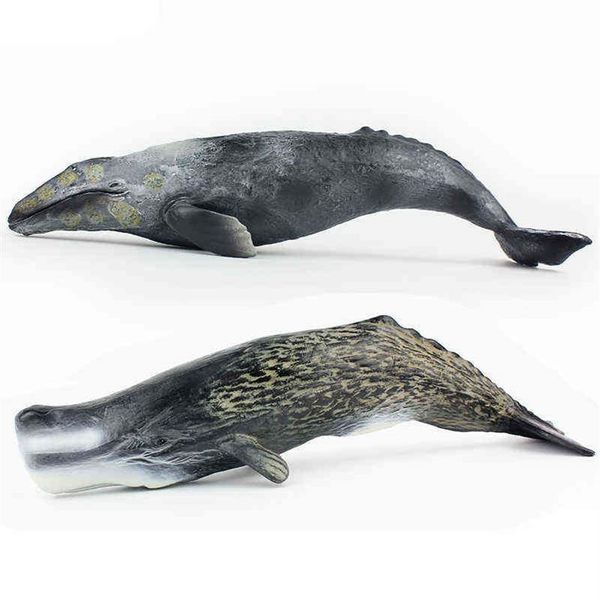 tomy 30cm simulation marine creature whale model sperm whale gray whale pvc figure model toys x1106259o
tomy 30cm simulation marine creature whale model sperm whale gray whale pvc figure model toys x1106259o