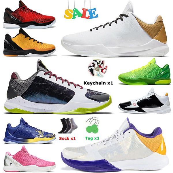 2022 with socks mamba zoom protro 5 6 mens trainers basketball shoes 5s 6s challenge red all-star mambacita chaos playoff pack white del sol
2022 with socks mamba zoom protro 5 6 mens trainers basketball shoes 5s 6s challenge red all-star mambacita chaos playoff pack white del sol