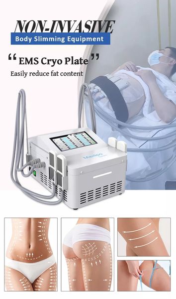 cryolipolysis cellulite removal body slimming machine fast ing cooling plate with ems
cryolipolysis cellulite removal body slimming machine fast ing cooling plate with ems