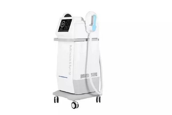 2022 new weight loss slimming ems muscle building stimulate em machine beauty slim for salon
2022 new weight loss slimming ems muscle building stimulate em machine beauty slim for salon