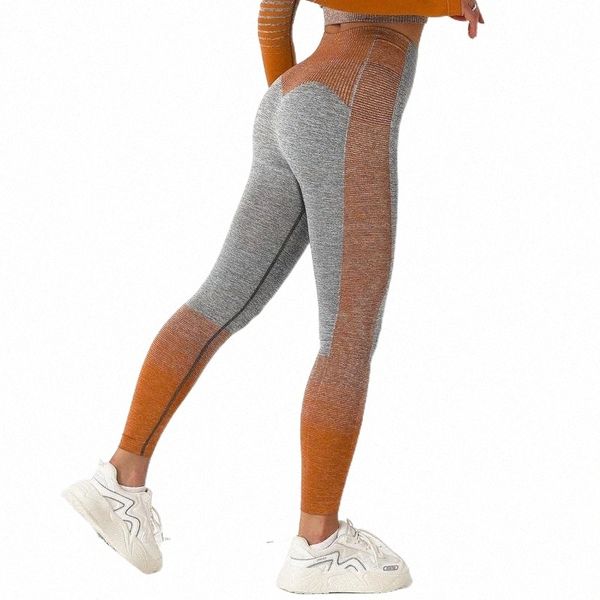 women's leggings women's leggings women push up high waist gym activewear seamless legging knitting workout femme jegging clothing, Black
women's leggings women's leggings women push up high waist gym activewear seamless legging knitting workout femme jegging clothing, Black