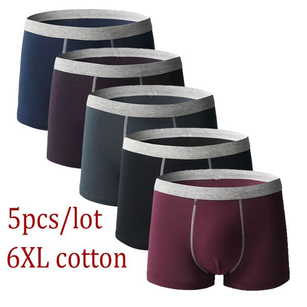 underpants 5pcs lot men underwear boxer homme shorts shorts panties breathable cotton comfort 220830, Black;white
underpants 5pcs lot men underwear boxer homme shorts shorts panties breathable cotton comfort 220830, Black;white
