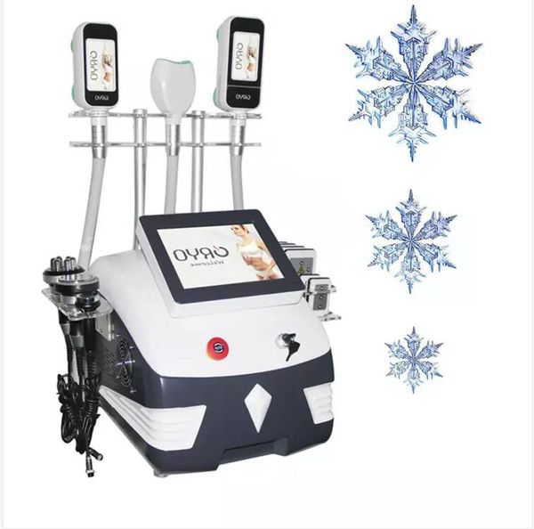6 in 1 slimming cryotherapy lipolysis rf for face fat e body sculpt machine professional new design 40 k cavitation rf fat reduce equipment
6 in 1 slimming cryotherapy lipolysis rf for face fat e body sculpt machine professional new design 40 k cavitation rf fat reduce equipment