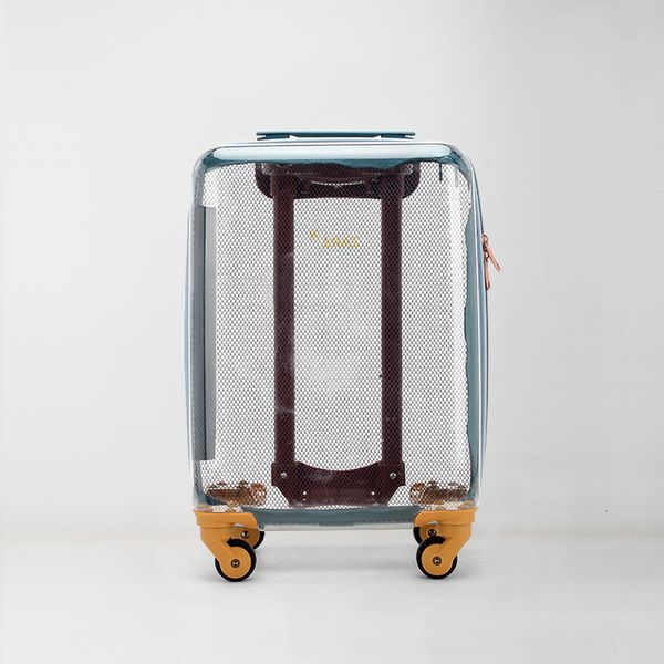 suitcases fashion transparent luggage children s small mini 14 inch boys and girls light cute boarding travel trolley suitcase 20 bag 221130
suitcases fashion transparent luggage children s small mini 14 inch boys and girls light cute boarding travel trolley suitcase 20 bag 221130