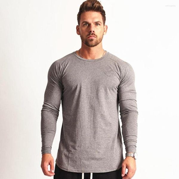 men's t shirts gym fitness t-shirt men casual long sleeve cotton shirt male bodybuilding workout skinny tee running sport clothing, White;black
men's t shirts gym fitness t-shirt men casual long sleeve cotton shirt male bodybuilding workout skinny tee running sport clothing, White;black