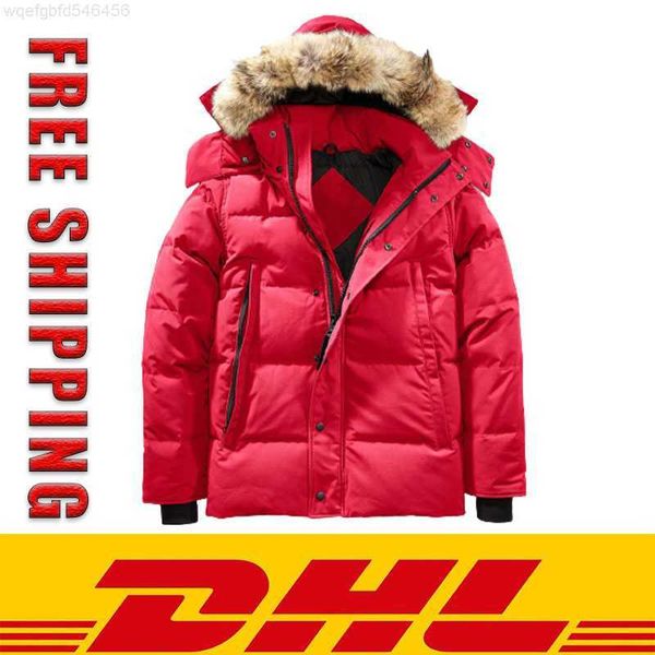 tr63 dhl hiping winter parka outerwear wolf fur hooded canada down jacket coats hiver doudoune 90% white duck down parker coat, Black
tr63 dhl hiping winter parka outerwear wolf fur hooded canada down jacket coats hiver doudoune 90% white duck down parker coat, Black