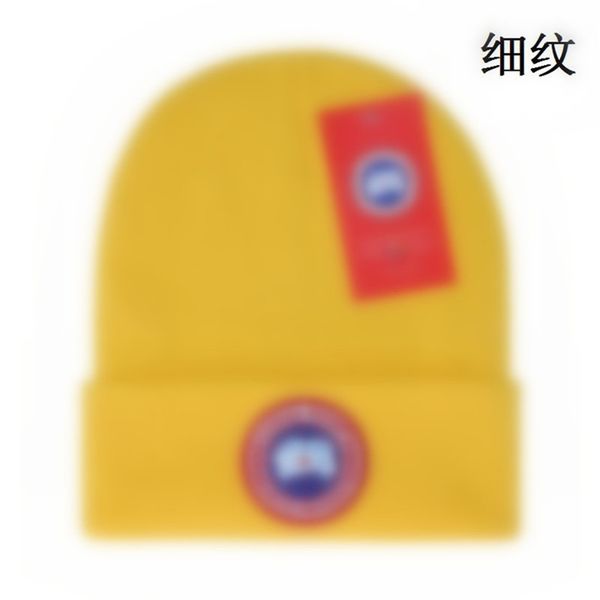 designer knitted hat popular canada winter classic letter goose embroidery caps fashion street hats a-4, Blue;gray
designer knitted hat popular canada winter classic letter goose embroidery caps fashion street hats a-4, Blue;gray
