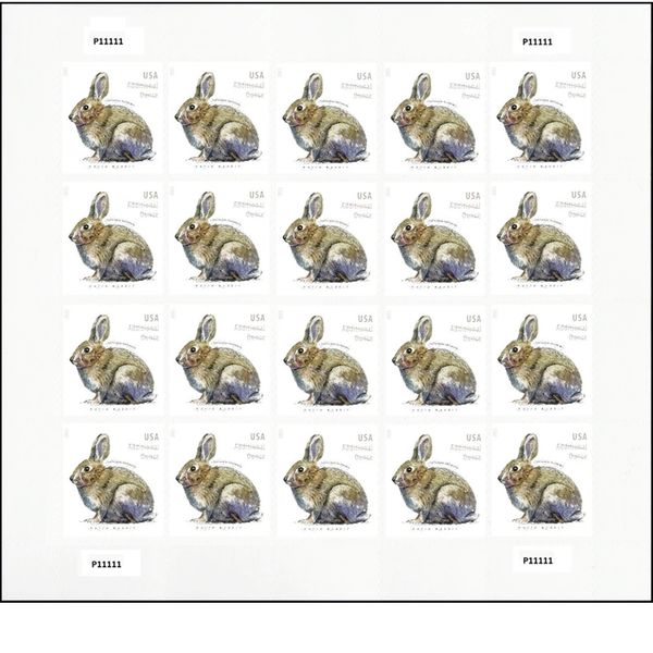 car stickers brush rabbit additional ounce postage stamps sheet of 20 us postal first class wedding celebration anniversary party us amhoe
car stickers brush rabbit additional ounce postage stamps sheet of 20 us postal first class wedding celebration anniversary party us amhoe