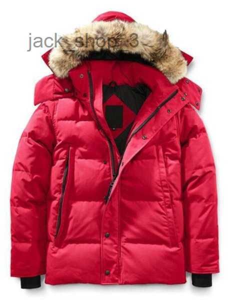 men's down parkas discount winter men jackets veste homme outdoor jassen outerwear big fur hooded hoodie fourrure manteau jacket coat h, Black
men's down parkas discount winter men jackets veste homme outdoor jassen outerwear big fur hooded hoodie fourrure manteau jacket coat h, Black