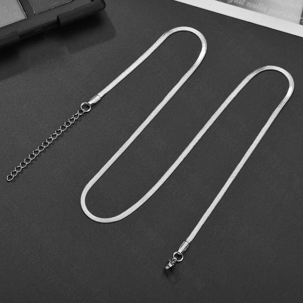 stainless steel flat snake bone chain pendant ladies bangle channel jewelry bracelet designer charms clover chains jewellery men moissanite, Silver
stainless steel flat snake bone chain pendant ladies bangle channel jewelry bracelet designer charms clover chains jewellery men moissanite, Silver