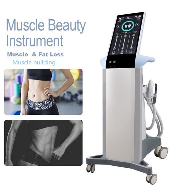 hiemt emslim electromagnetic muscle building slimming fat loss ems body sculpting fat burning muscles training high intensity electro magnet
hiemt emslim electromagnetic muscle building slimming fat loss ems body sculpting fat burning muscles training high intensity electro magnet