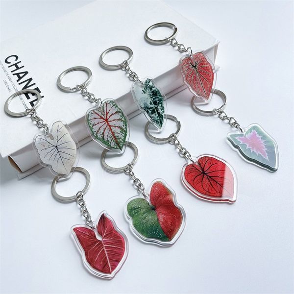 fashion imitation leaf keychain key ring female child double-sided bag key car pendant party gift decoration home ornament, Slivery;golden
fashion imitation leaf keychain key ring female child double-sided bag key car pendant party gift decoration home ornament, Slivery;golden