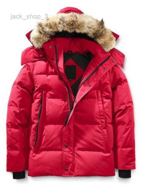 discount winter men down jackets veste homme outdoor jassen outerwear big fur hooded hoodie fourrure manteau jacket coat hiver parka 73, Black
discount winter men down jackets veste homme outdoor jassen outerwear big fur hooded hoodie fourrure manteau jacket coat hiver parka 73, Black