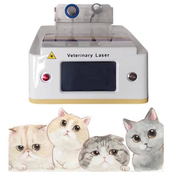 animals pain relief high power laser 980nm veterinary deep tissue166, Black
animals pain relief high power laser 980nm veterinary deep tissue166, Black