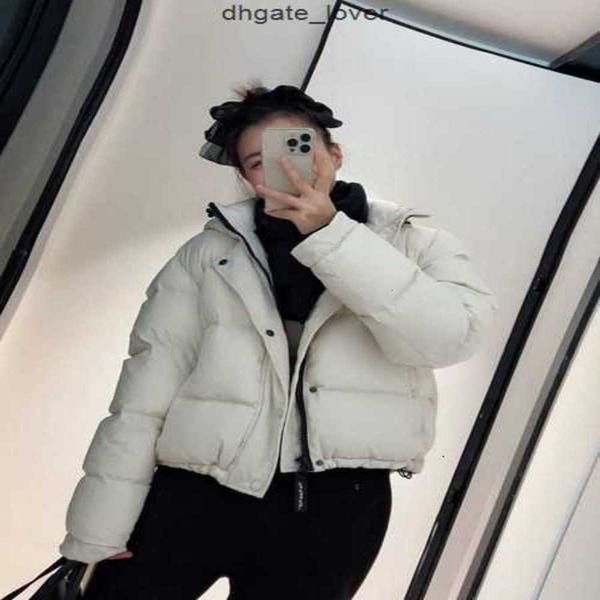 big goose down jacket 2022 new canadian puff aritzia white tna women's thickened cold resistant short outdoorjvrr, Black
big goose down jacket 2022 new canadian puff aritzia white tna women's thickened cold resistant short outdoorjvrr, Black