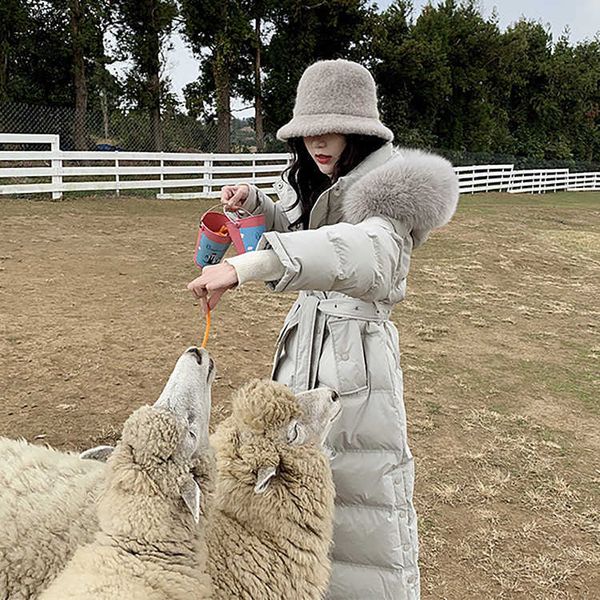 zhang beibei the same style of 2022 winter new long over knee down jacket women's thickened large fur collar korean women, Black
zhang beibei the same style of 2022 winter new long over knee down jacket women's thickened large fur collar korean women, Black