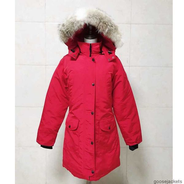 bomber jacket womens canada trillium real wolf designer big fur trim cg hooded female down goode four pockets warm coat parkas oxvaki62, Black
bomber jacket womens canada trillium real wolf designer big fur trim cg hooded female down goode four pockets warm coat parkas oxvaki62, Black