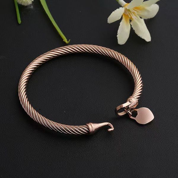 luxury designer bracelet for women love bracelets bangle cable wire 18k gold silver rose color heart charm pendants bangles with hook closur, Black
luxury designer bracelet for women love bracelets bangle cable wire 18k gold silver rose color heart charm pendants bangles with hook closur, Black