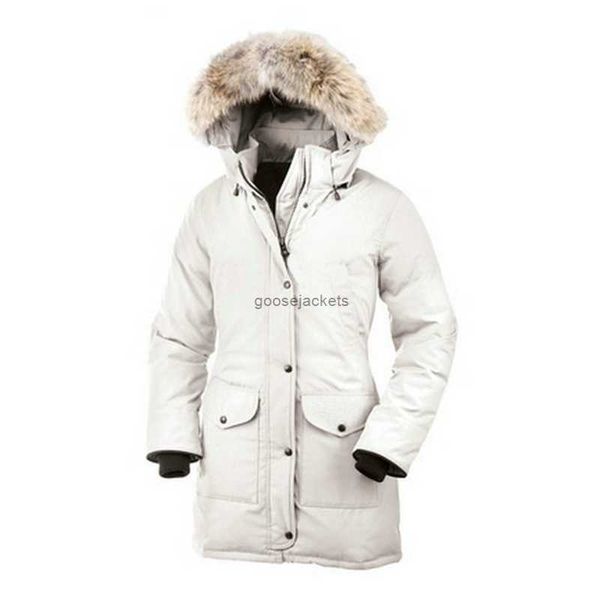 bomber jacket womens canada trillium real wolf designer big fur trim cg hooded female down goode four pockets warm coat parkas j8eyu1a3, Black
bomber jacket womens canada trillium real wolf designer big fur trim cg hooded female down goode four pockets warm coat parkas j8eyu1a3, Black