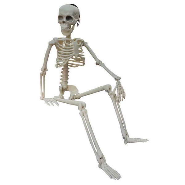 interior decorations car decoration spoof active human skeleton model anatomy skeleton medical learning halloween party decoration skeleton
interior decorations car decoration spoof active human skeleton model anatomy skeleton medical learning halloween party decoration skeleton
