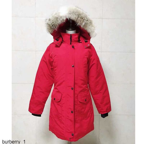 bomber jacket womens canada trillium real wolf designer big fur trim cg hooded female down goode four pockets warm coat parkas 3q75r47k, Black
bomber jacket womens canada trillium real wolf designer big fur trim cg hooded female down goode four pockets warm coat parkas 3q75r47k, Black
