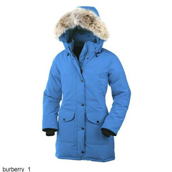 bomber jacket womens canada trillium real wolf designer big fur trim cg hooded female down goode four pockets warm coat parkas 9y0e8iv3, Black 
bomber jacket womens canada trillium real wolf designer big fur trim cg hooded female down goode four pockets warm coat parkas 9y0e8iv3, Black