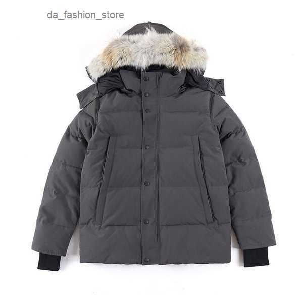canada down jacket parkas mens outerwear high-end hooded wolf fur windproof waterproof padded thicken coat removable cap coats outdoor jacke, Black
canada down jacket parkas mens outerwear high-end hooded wolf fur windproof waterproof padded thicken coat removable cap coats outdoor jacke, Black
